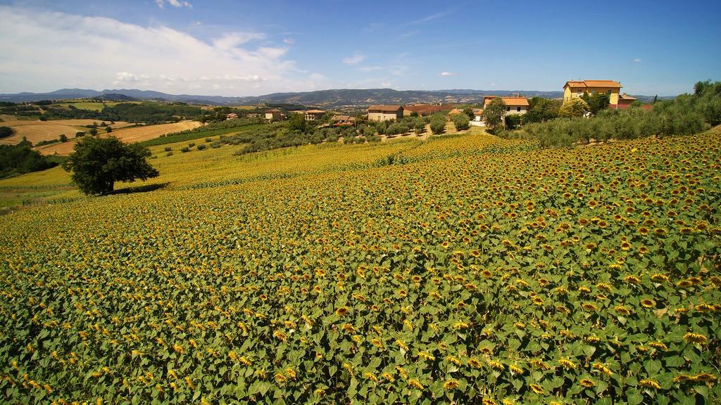 Colle San Giovanni Todi Bagian luar foto